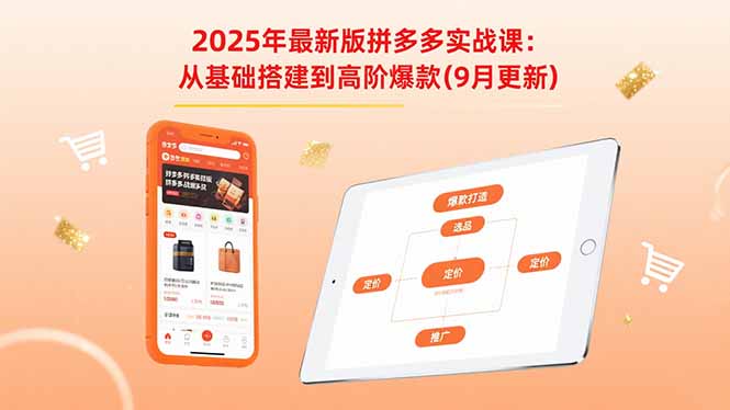 2025年最新版拼多多实战课：从基础搭建到高阶爆款(9月更新-副业网
