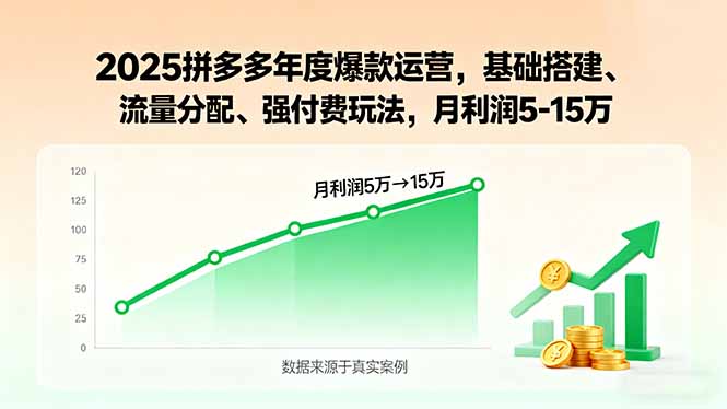 2025拼多多年度爆款运营，基础搭建、流量分配、强付费玩法，月利润5-15万-副业网