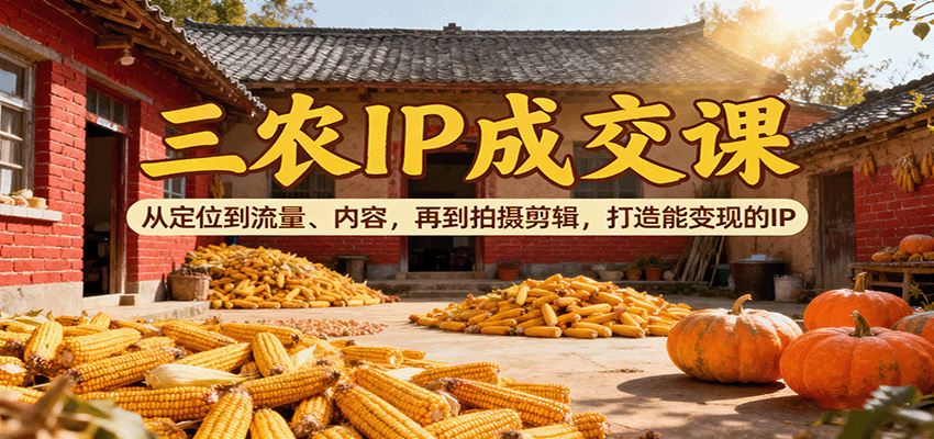 三农IP成交课：从定位到流量、内容，再到拍摄剪辑，打造能变现的IP-副业网