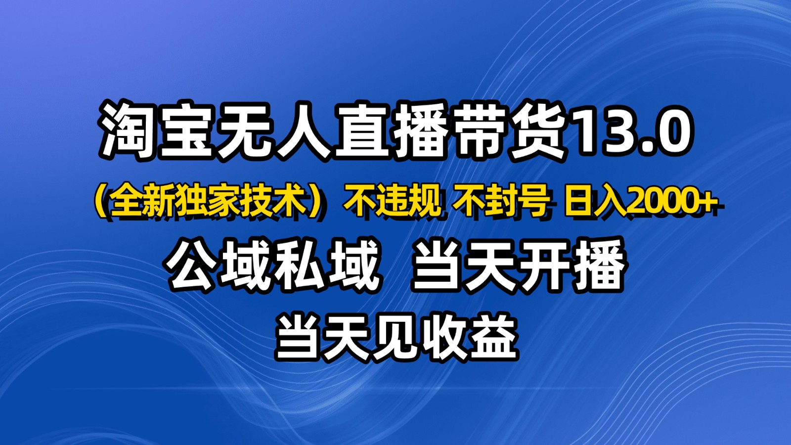 淘宝无人直播13.0，公域私域技术，不封号，不违规 布局下半年旺季赛道，日入2000+-副业网