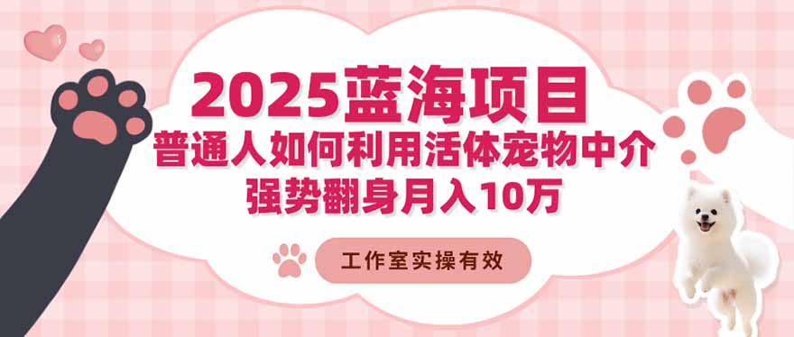 2025蓝海项目：普通人如何利用活体宠物中介，强势翻身月入10万-副业网
