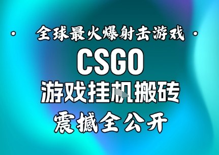 【年底大揭秘】基于全球最火爆的射击CSGO游戏挂G搬砖，日入5张+，震撼公开-副业网