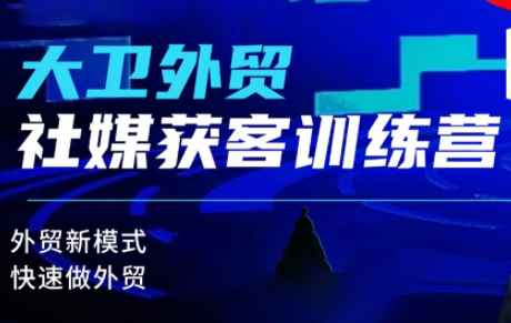 大卫老师·外贸社媒获客独家训练营(更新)-副业网