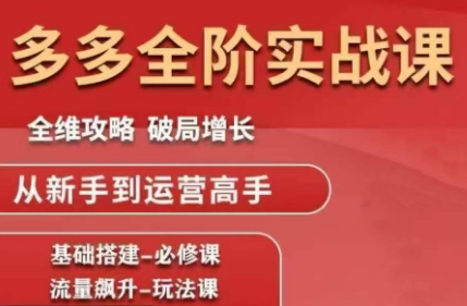 大炮·拼多多全阶实战课程(更新10月)-副业网