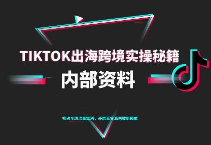 TikTok跨境电商0-1搭建运营(更新10月)-副业网