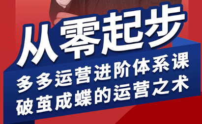 海神·拼多多运营进阶系统课(更新9月)-副业网