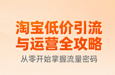 淘宝低价引流与运营全攻略(更新9月)-副业网