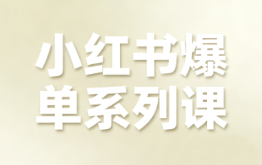 尼采老师·小红书爆单系列课-副业网