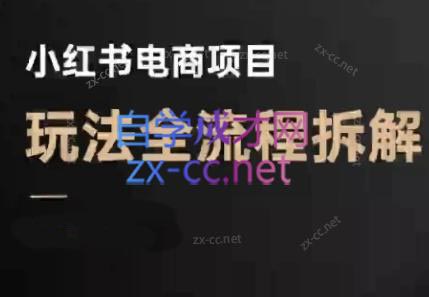 菲菲老师·小红书电商玩法(更新9月)-副业网