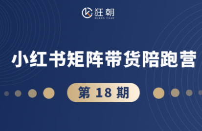 盗坤·抖音小红书视频号短视频带货与直播变现(11-18期)-副业网