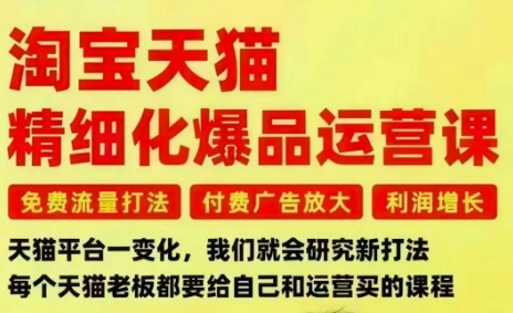 淘宝天猫精细化爆品运营课，免费流量打法-付费广告放大-利润增长-三大核心痛点，一次全部解决-副业网