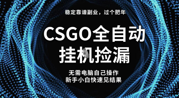 【稳定副业】全球最热门游戏CSGO全自动捡漏，最新玩法，新手小白日入5张+【揭秘】-副业网