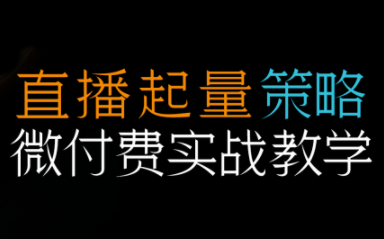 半野老师·直播带货起量与微付费必学课视频号-副业网