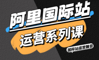 醒目老师·阿里国际站运营系列课(更新11月)-副业网
