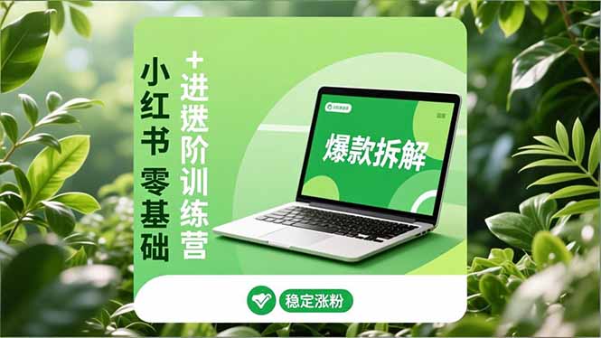 小红书零基础+高阶训练营：安全养号、爆款拆解、长效运营，实现稳定涨粉与变现-副业网
