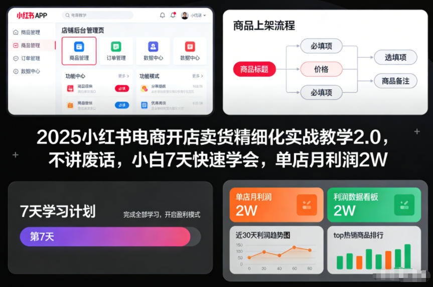 2025小红书电商开店卖货精细化实战教学2.0，不讲废话，小白7天快速学会，单店月利润2W-副业网