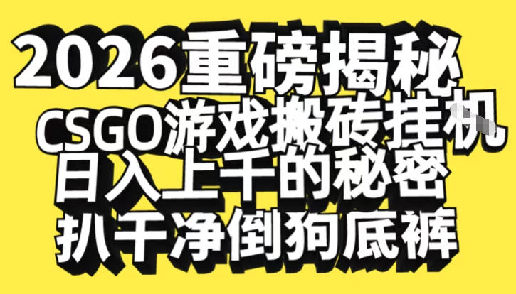 2026开年重磅解密，CSGO游戏搬砖挂G日入1k+的秘密，把倒狗的底裤扒干【揭秘】-副业网