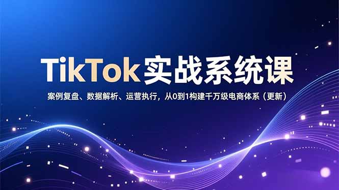 TikTok实战系统课，案例复盘、数据解析、运营执行，从0到1构建千万级电商体系(更新-副业网