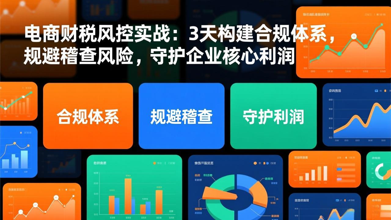 电商财税风控实战：3天构建合规体系，规避稽查风险，守护企业核心利润-副业网