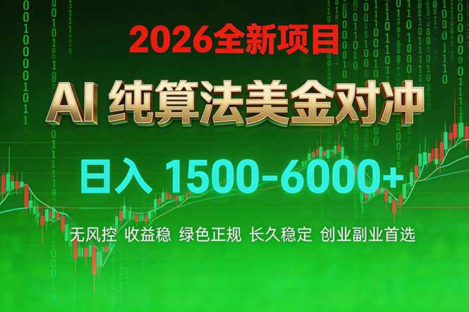 2026 全新美金对冲项目，不套平台赠金，不封号，纯算法对冲，日入 1500-6000+-副业网