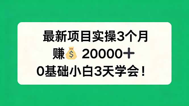 最新项目实操3个月，赚钱20000+，0基础小白3天学会！-副业网