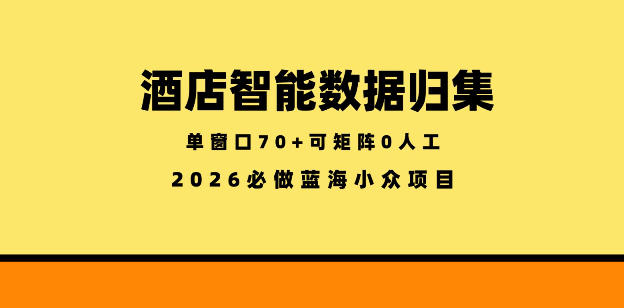 酒店智能数据归集，小众蓝海已经稳定半年之久，单窗口70+零成本矩阵开干【揭秘】-副业网