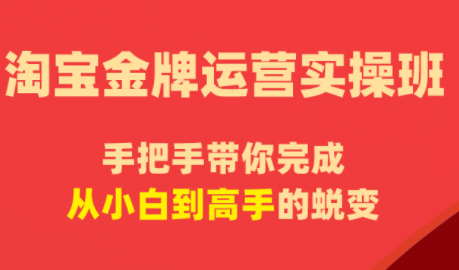 飓风电商·淘宝金牌运营实操班-副业网
