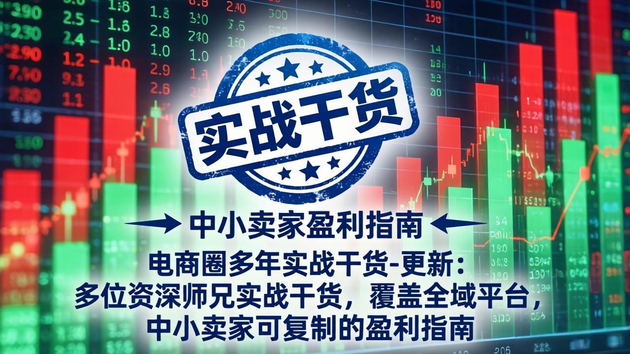 电商圈多年实战干货-更新5月20:多位资深师兄实战干货/覆盖全域平台,中小卖家可复制的盈利指南-副业网