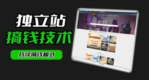 干货来袭！麦子甜带你吃透独立站｜从搭建到引流一站式教学《独立站》第一期-副业网