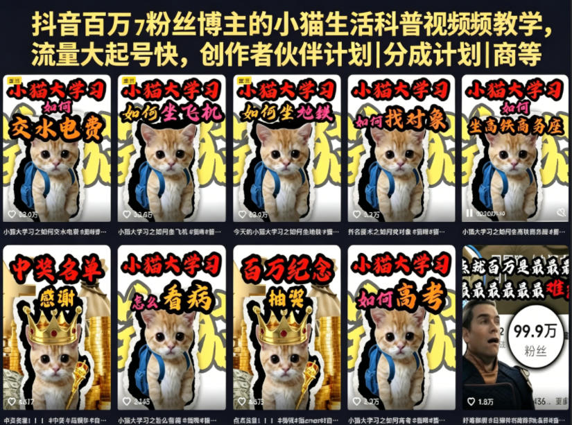 抖音百万粉丝博主的小猫生活科普视频教学,流量大起号快,创作者伙伴计划|分成计划|商单|收徒等-副业网
