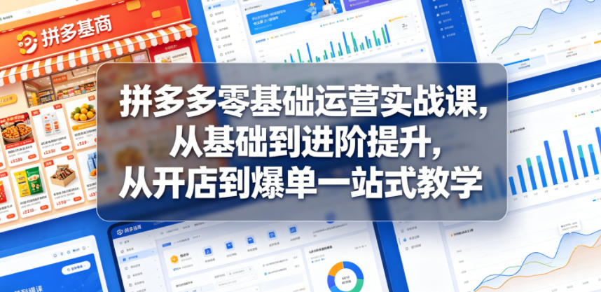拼多多零基础运营实战课,从基础到进阶提升,从开店到爆单一站式教学-副业网